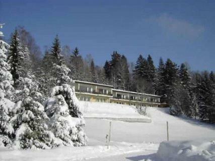 Birkenhof - Schimek Apartment เบือร์เซอร์แบร์ก ภายนอก รูปภาพ